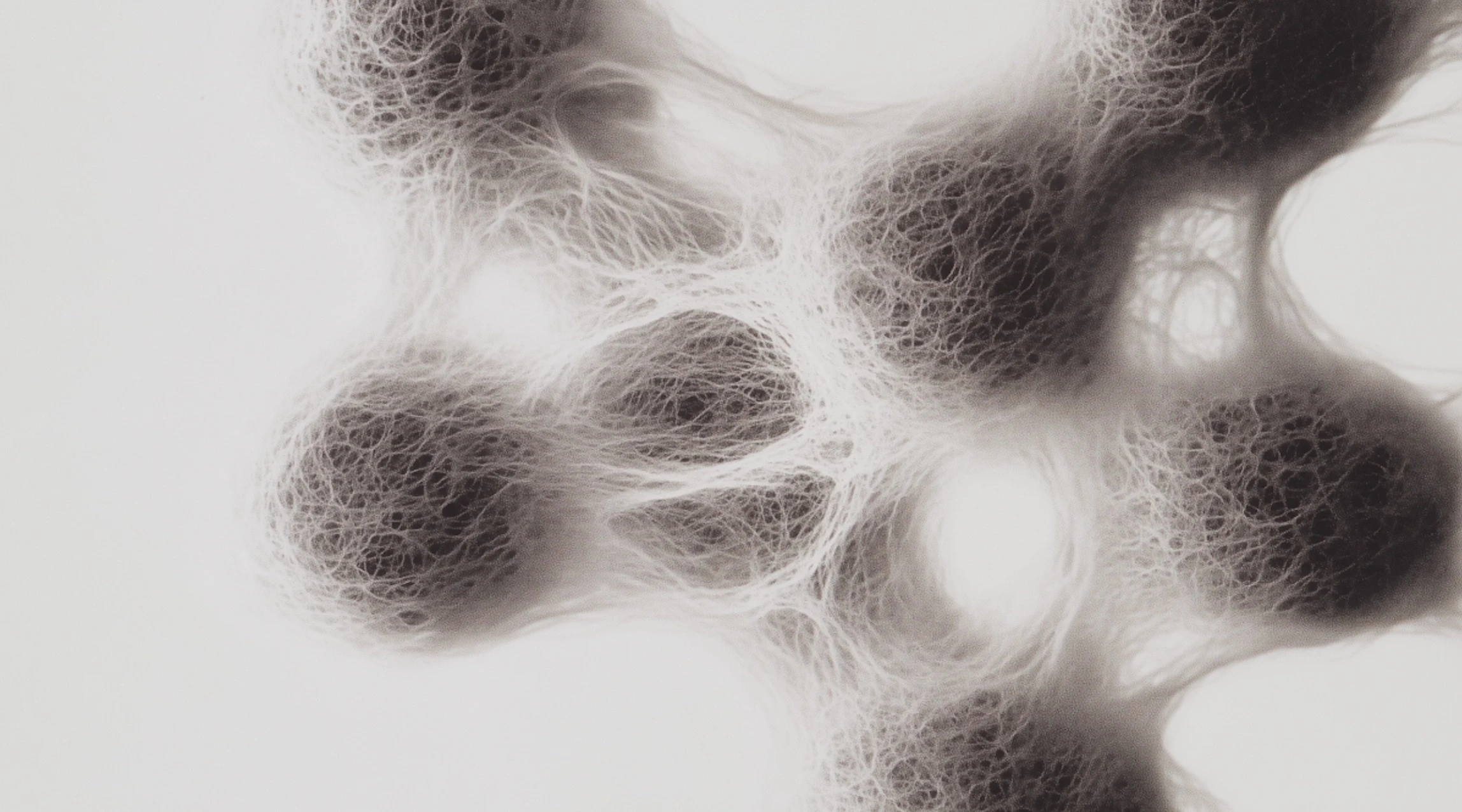 How Large Language Models Collect Data